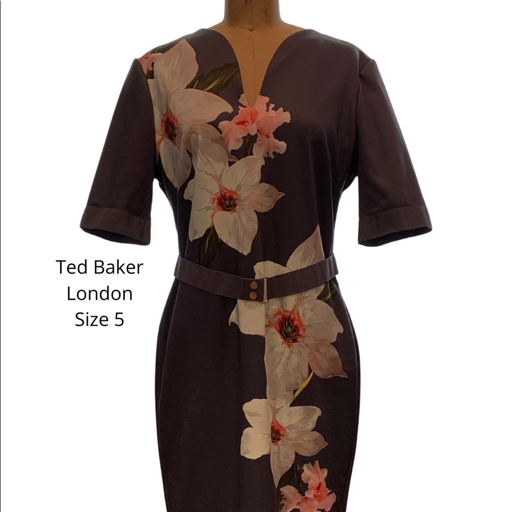 Gorgeous Ted Baker Size 5 below knee length dress. Copper back zipper, back slit